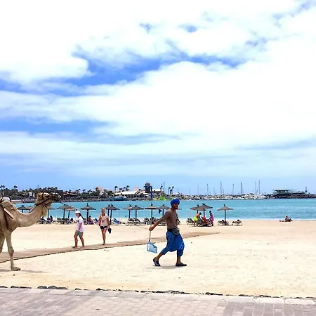 Montecastillo E8 カレタ・デ・フステ