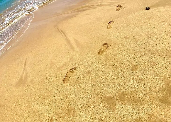 Montecastillo E8 カレタ・デ・フステ