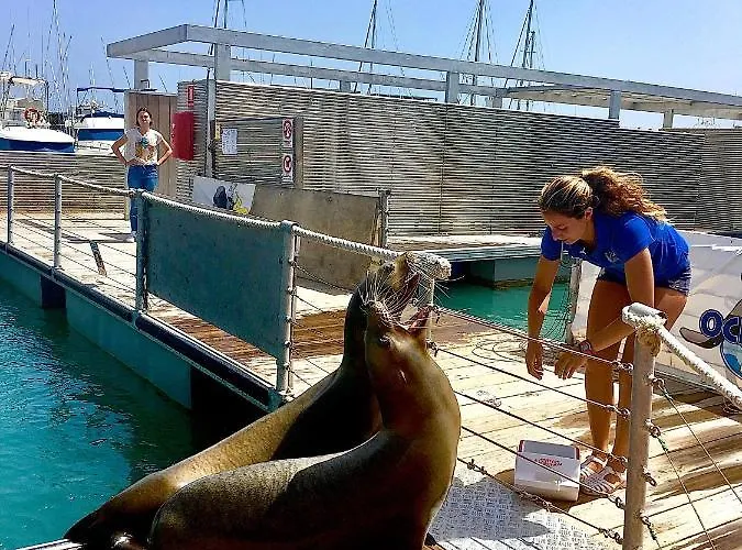 アパート Montecastillo E8 カレタ・デ・フステ