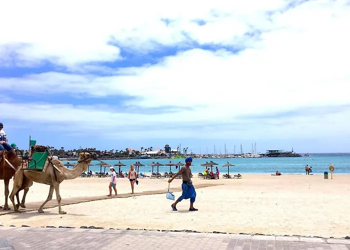 Montecastillo E8 カレタ・デ・フステ