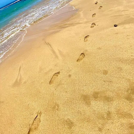 Montecastillo E8 科斯塔卡莱塔