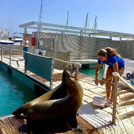 Apartamento Montecastillo E8 Caleta de Fuste